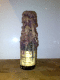 080602.mini_champagne_t.gif