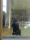 080607.stuffed_dog_t.gif
