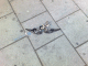 080613.Dead_bird1_t.gif