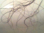 080616.Hair_painting_t.gif
