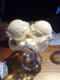 080627.Icecream.v0_t.gif