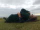 080629.Score_8_Take_t.gif
