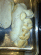 080723.Zac_Loaf_t.gif