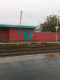 080728.Torrential_green_green_grass_t.gif