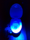 080730.Blue_blue_t.gif