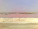 080803a.saltwater_t.gif