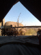 080807.Waking_up_t.gif
