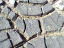 080809.salty_close_t.gif