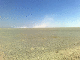 080809.salty_t.gif