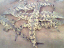 080811.Baby_crocodiles_t.gif