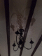080818.shadow_t.gif