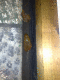 080822.Fat_slug_t.gif