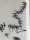 080823.Flock_of_seagulls_t.gif