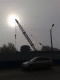 080903.Siberian_crane_t.gif