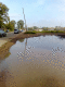 080903a.telegraph_pole_t.gif
