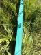 080904.love_making_t.gif