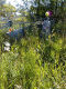 080904a.untendered_t.gif