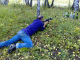 080905.shooting_Vodka2_t.gif