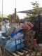 080910.torso_t.gif