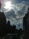 080914.Crane1_t.gif