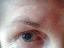 080916.pupil_t.gif