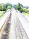 080917.Homeward_t.gif