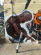 080921.graf_bow_t.gif