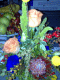 080928.Henley_Flowers_t.gif