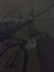 080929.Shadow_t.gif