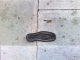 080930.Trampled_soul_t.gif