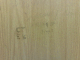 081001.E's_rep_t.gif