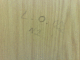 081001.N's_rep_t.gif