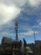 081002.English_crane_t.gif