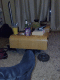 081003.Pritchards_t.gif