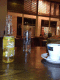 081007.Stacey_Carol_t.gif