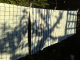 081010.bar_towels2_t.gif