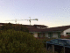 081011.crane_t.gif