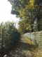 081018.walk._t.gif