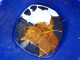 081101.wet_leaf_t.gif