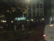081104.Swine_t.gif