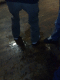 081107.wee.v0_t.gif