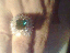 081108.wormy_t.gif