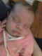 081110.Sasha_t.gif