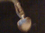 081110.rocking_heart_t.gif