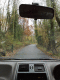 081115.Dog_Graves_t.gif