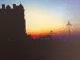 081128.Stefan_Roman2_t.gif
