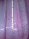 081130.ray_t.gif