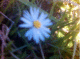 050622.Danny_Pockets_2_t.gif