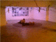 050708.Danny_Pockets_t.gif