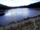 051001.David_Anthony_t.gif
